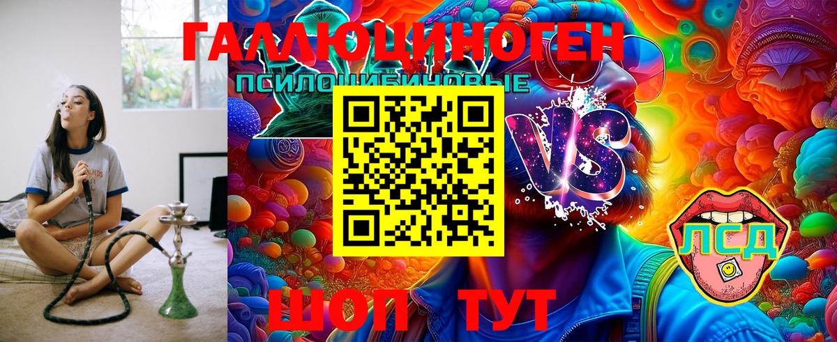 Галлюциногенные грибы Psilocybe Надым