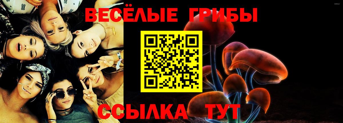 Надым  Псилоцибиновые грибы Psilocybine cubensis  Галлюциногенные грибы Psilocybe  Вход с VPN 